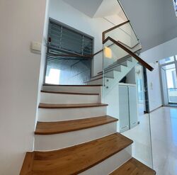 Zedge (D11), Apartment #439523131